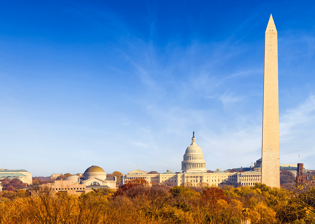 The Capitol and D.C. skyline.