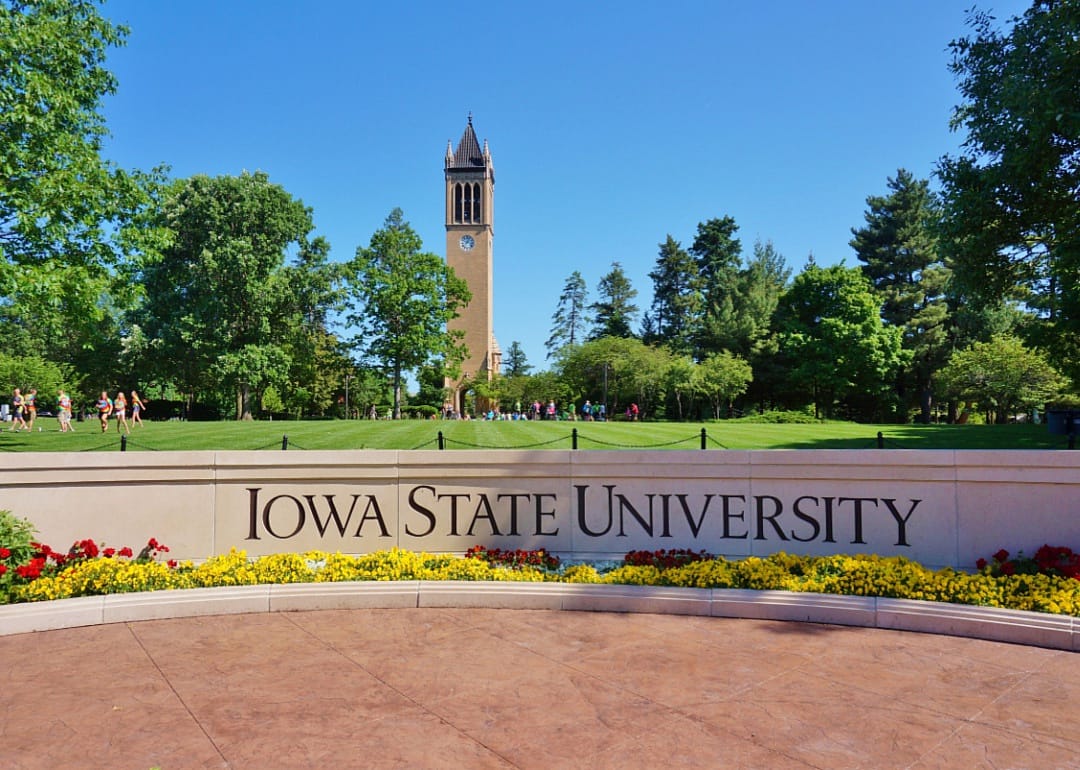 A large green lawn full of students with a clocktower.