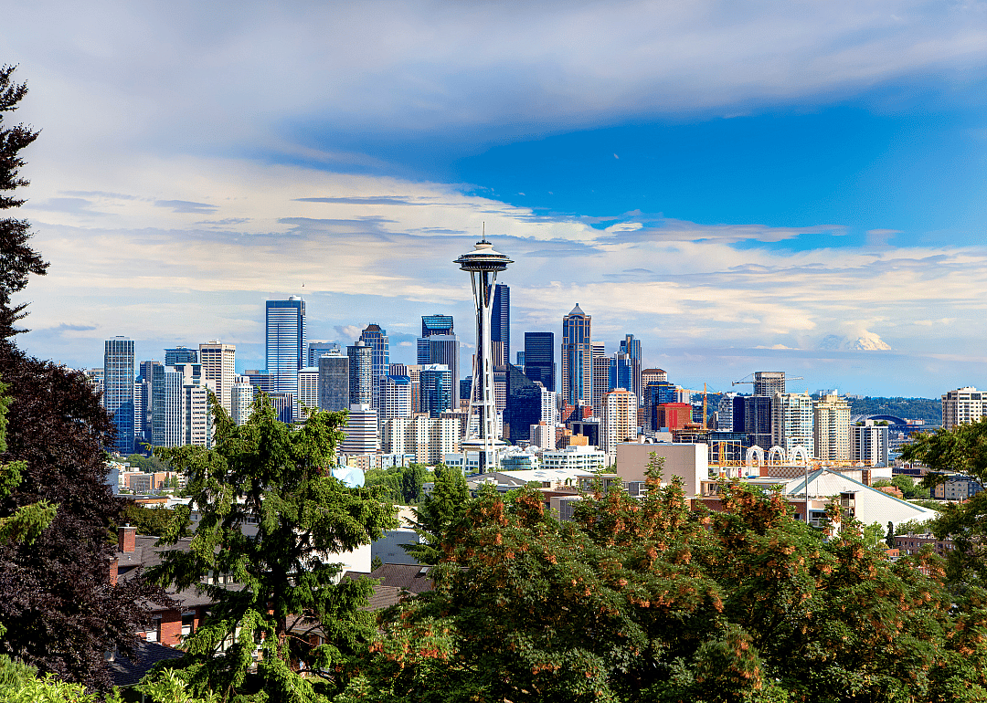 A view of downtown Seattle from behind the trees.