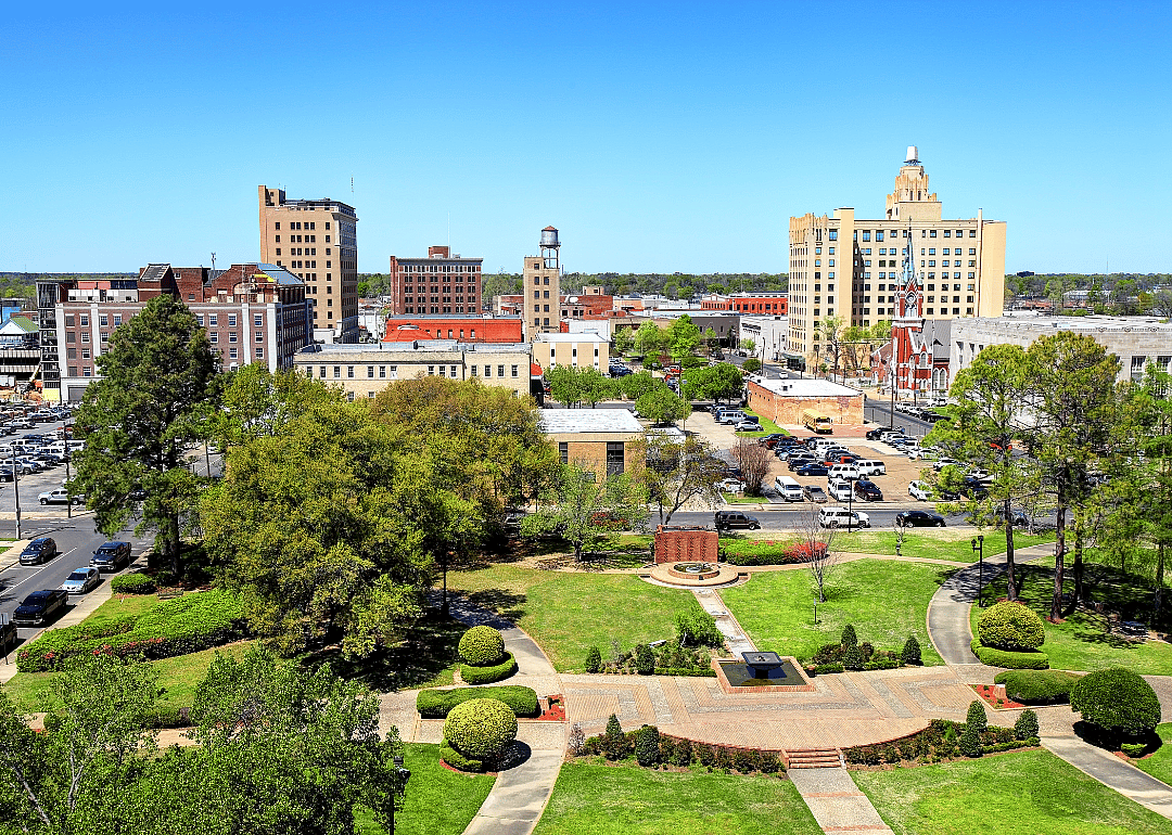 Aerial view of a park and downtown Monroe.