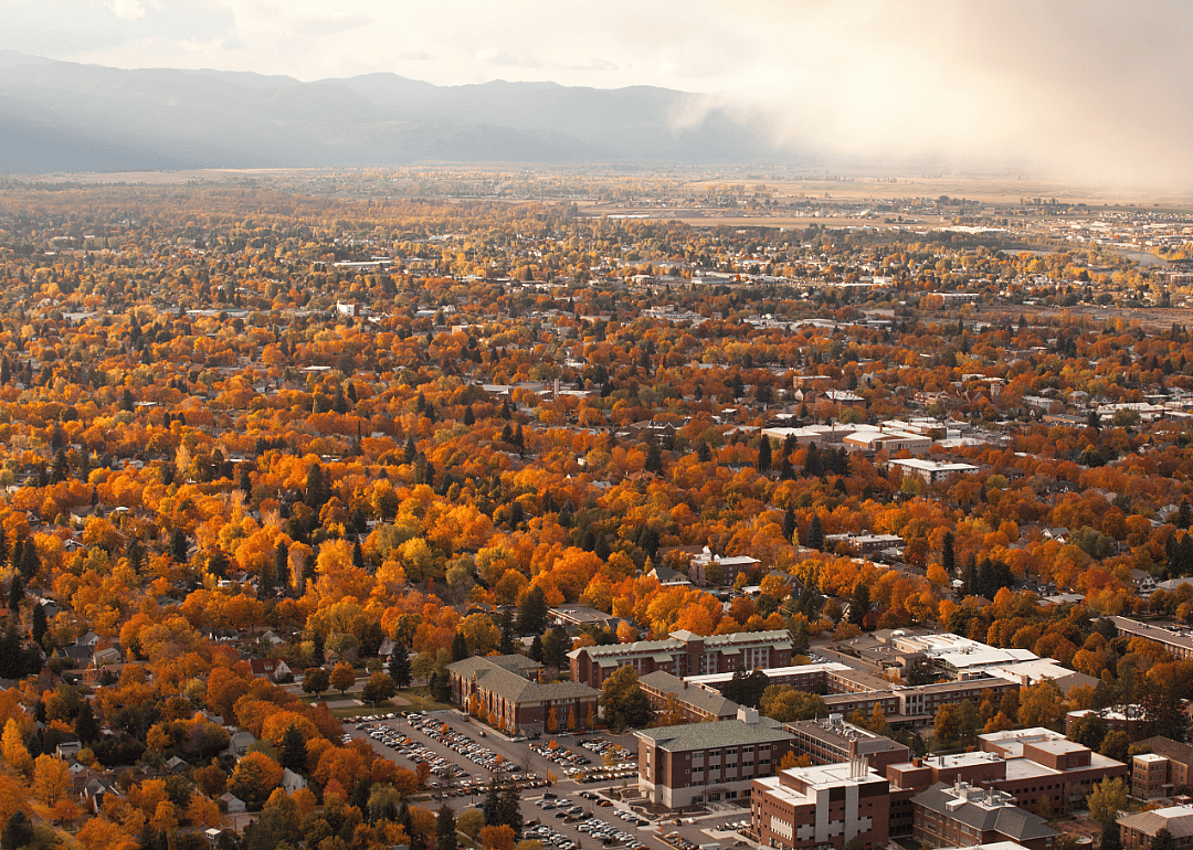 #11. Montana