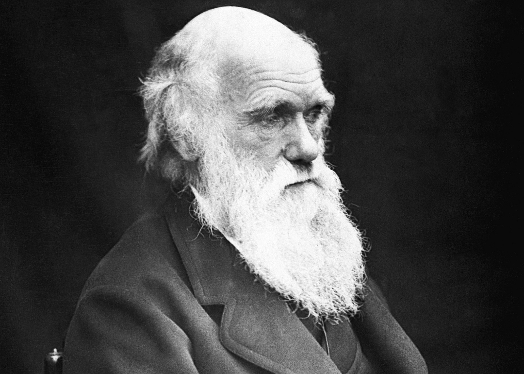 Charles Darwin.