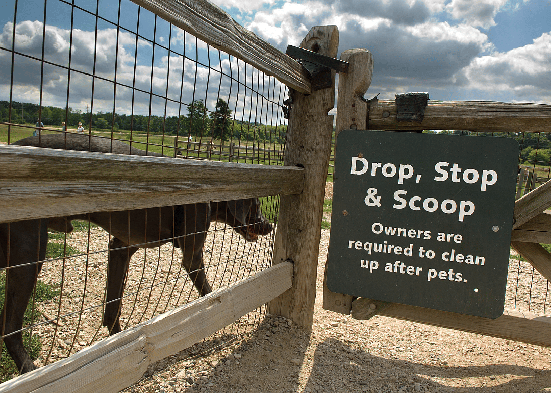 Pick up your pup’s waste