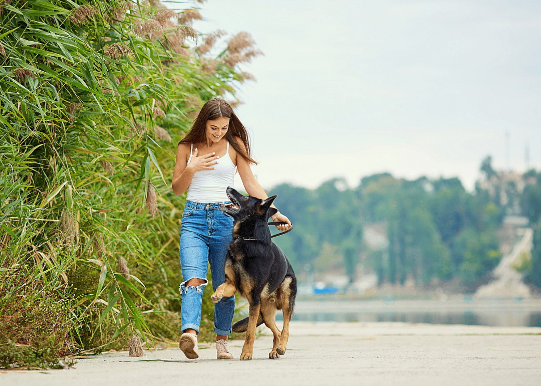 A girl smiling and walking a German shepherd.