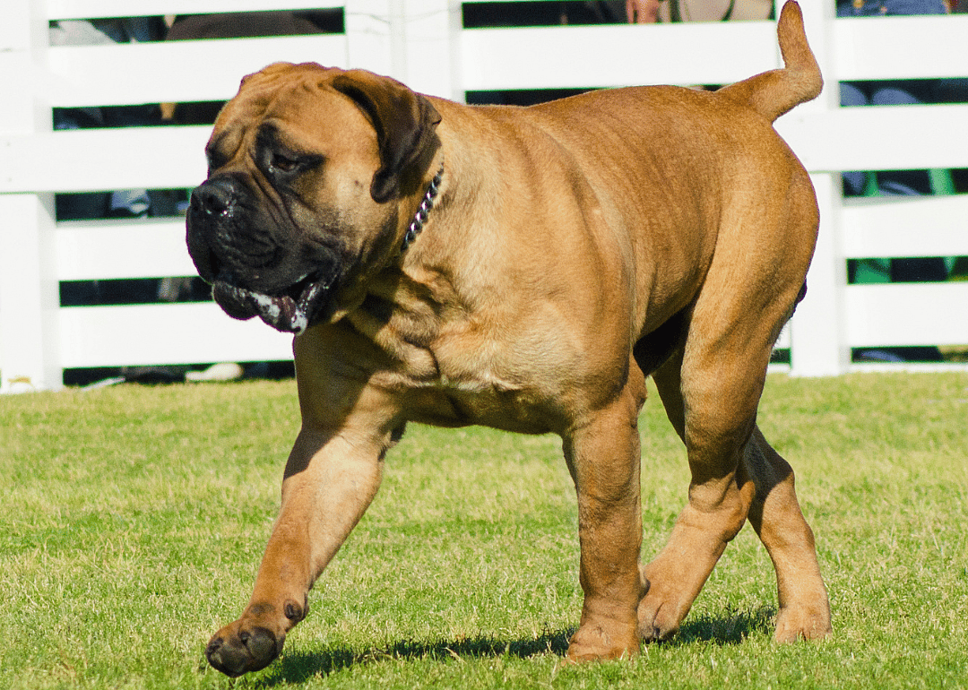 #4. Max