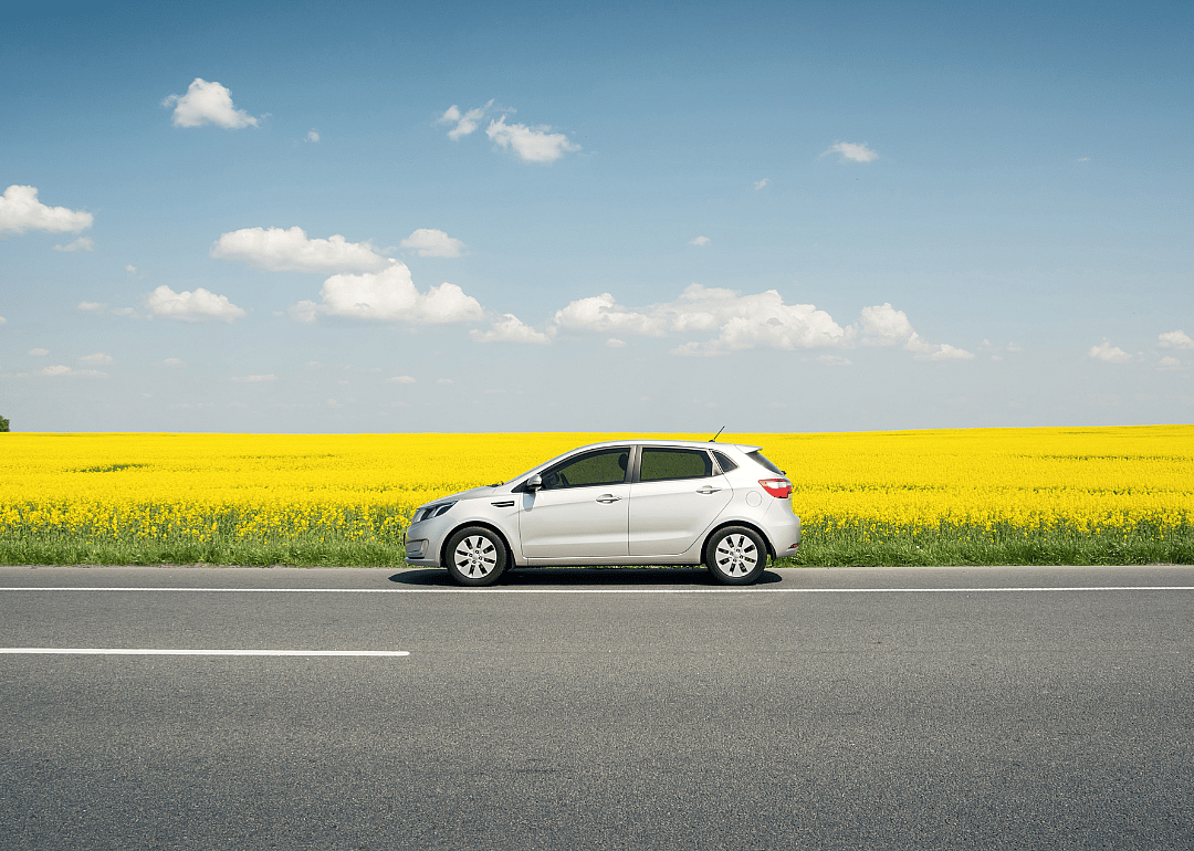 A silver Kia Rio on the road in front of a field of yellow flowers.