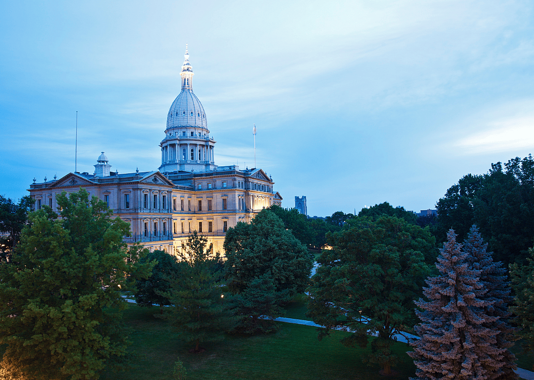 #29. Michigan