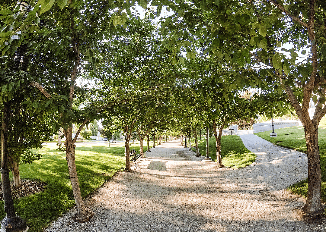 A park trail lined with trees.