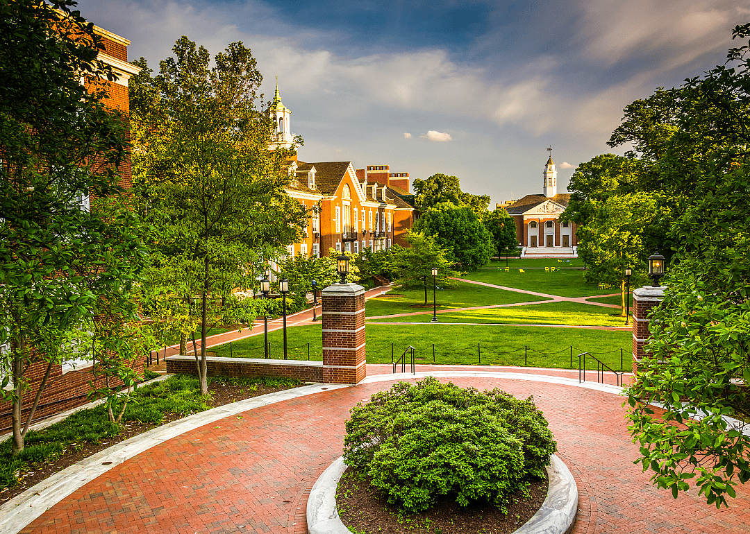 Johns Hopkins University: ‘The Social Network’