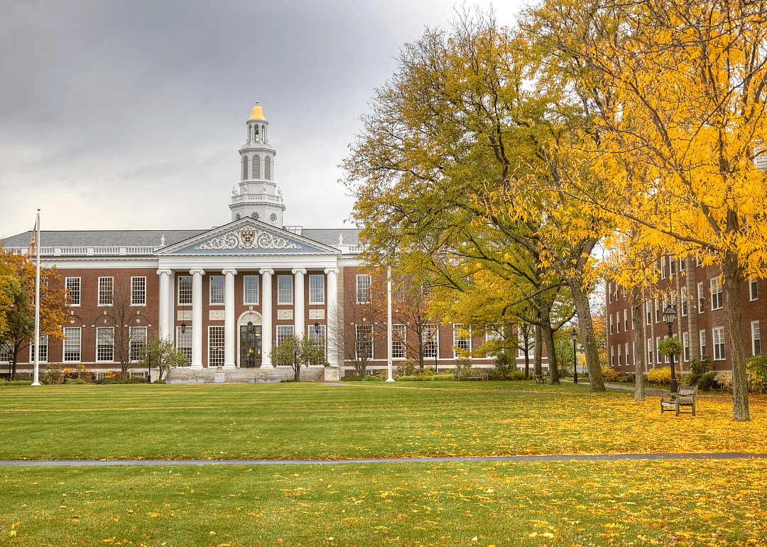 Harvard University: ‘Love Story’
