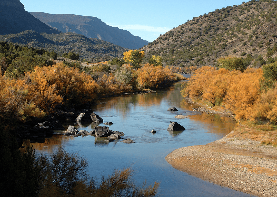 A small stream surrounded by bush and mountains. 