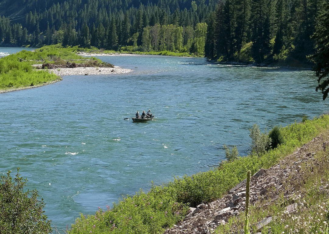 A few people on a small fishing boat in water surrounded by pine trees. 