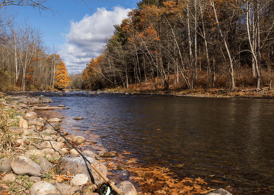 A fishing pole positioned on some rocks along a calm creek. 