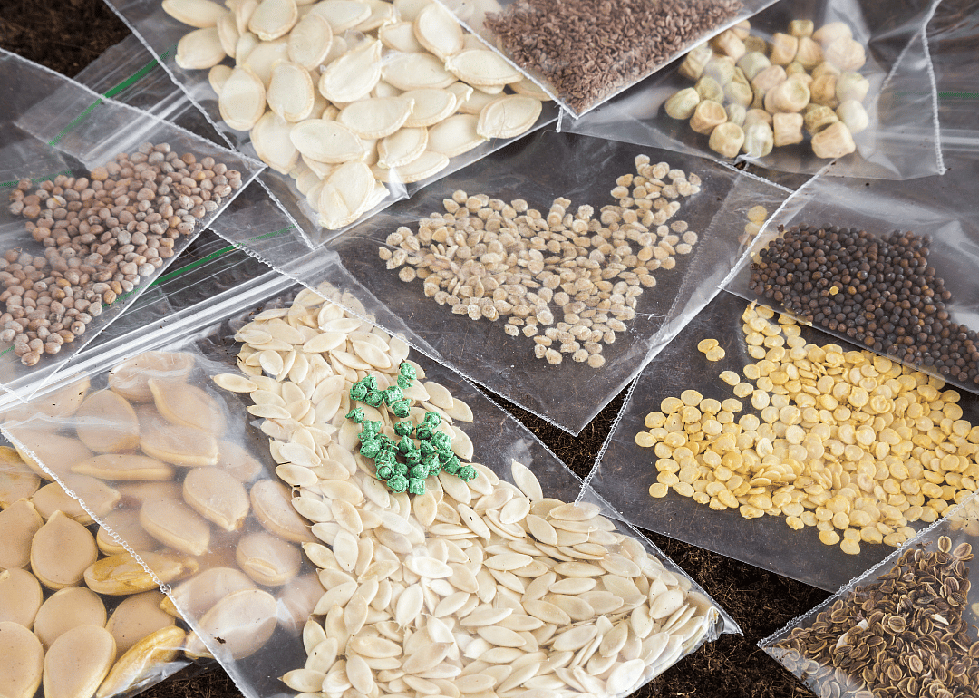 Order seeds early
