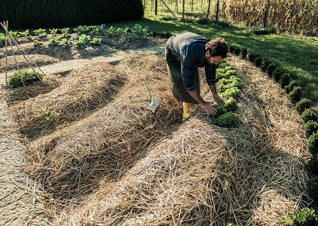 Prepare new beds