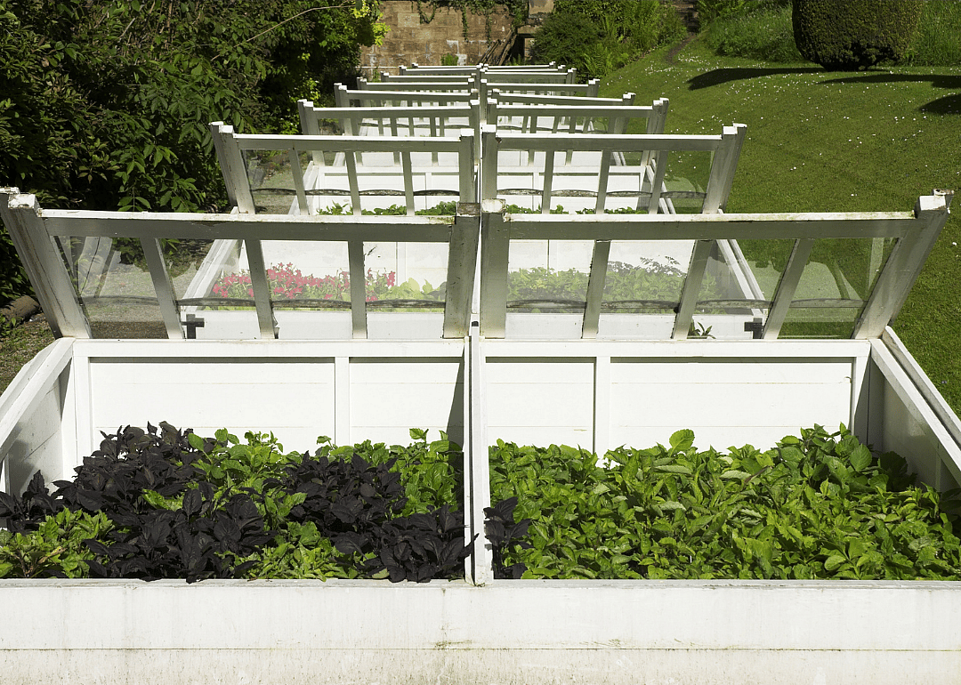 Install cold frames to extend your growing season