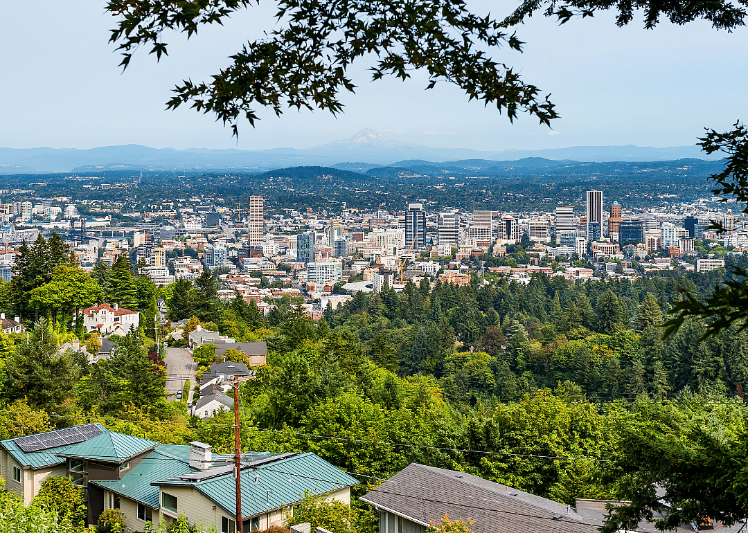 Homes in the hills with Portland in the background.