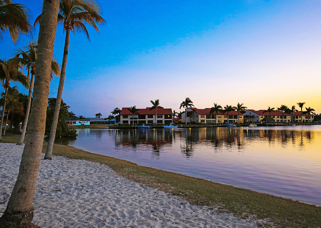 Palm trees on the beach with homes in the background.