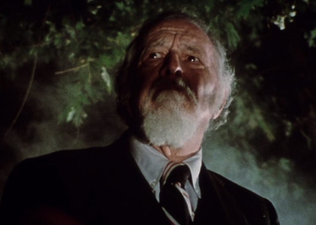 #88. Martin (1976)