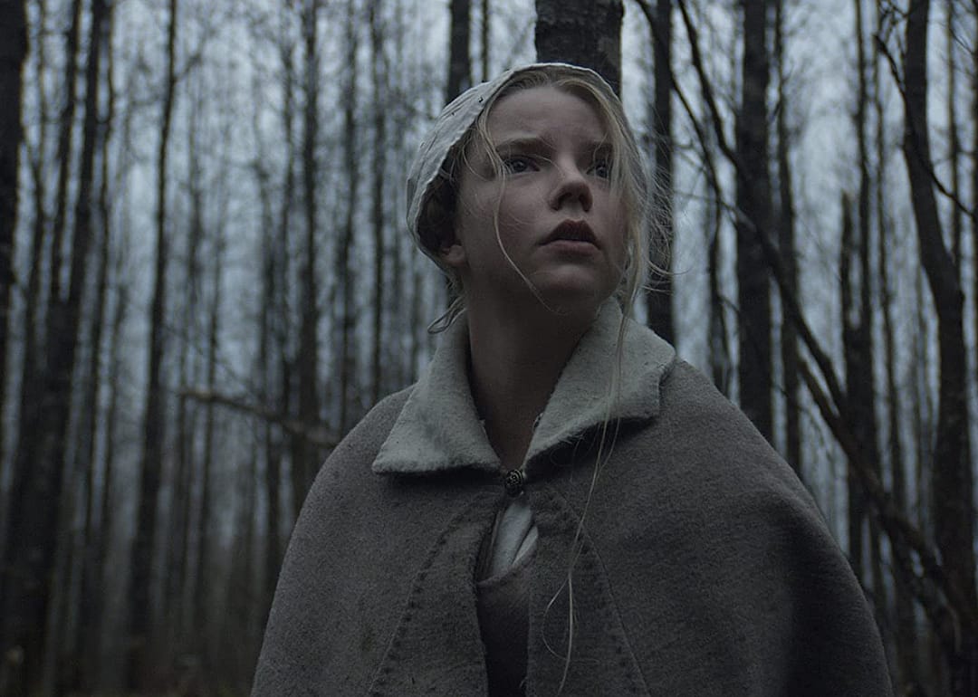 #80. The Witch (2015)