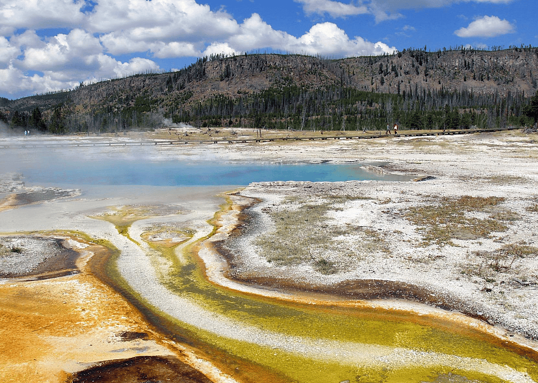 National parks: 63