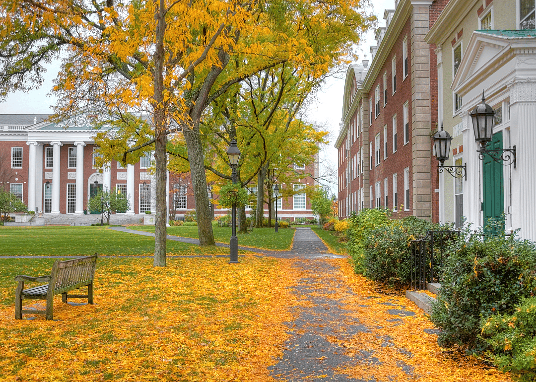 Harvard University with yellow leaves on the ground.