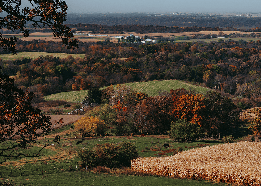 Iowa