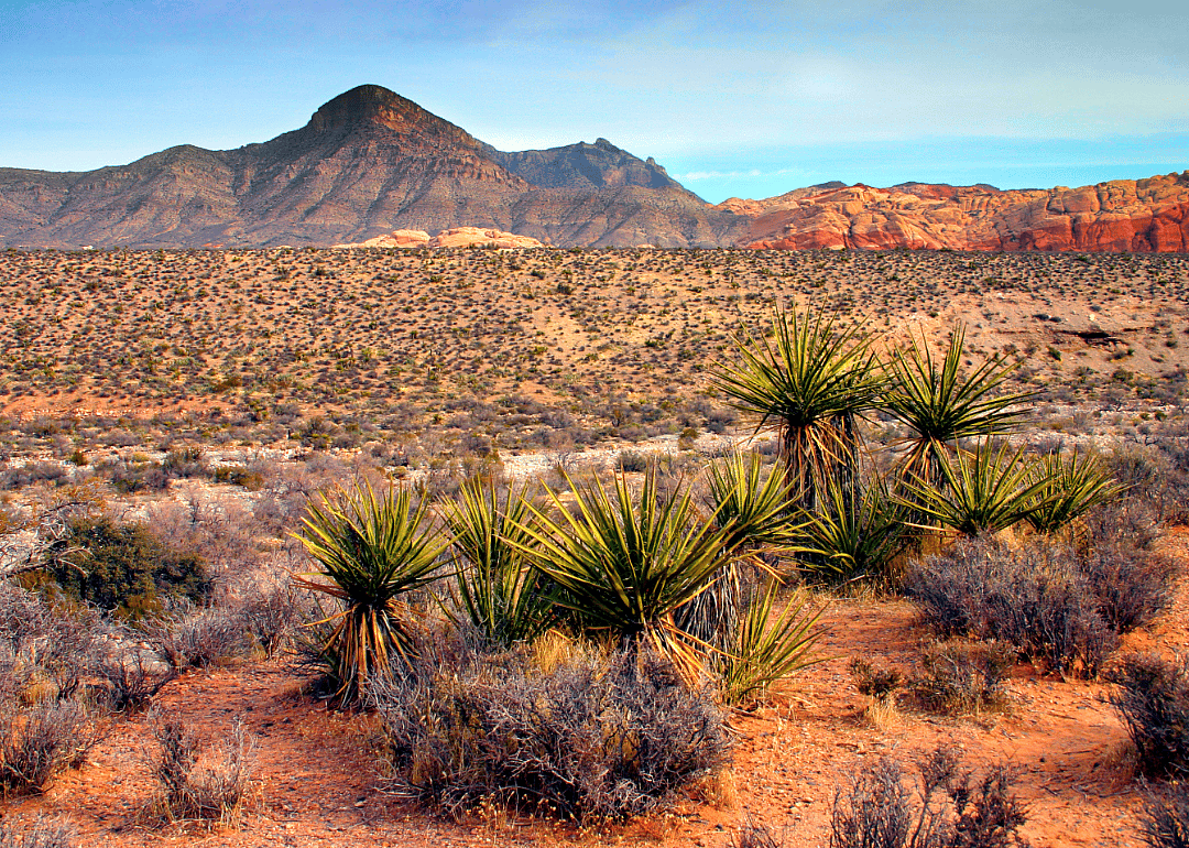 Nevada