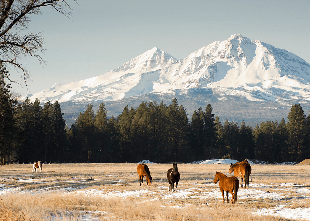 Oregon