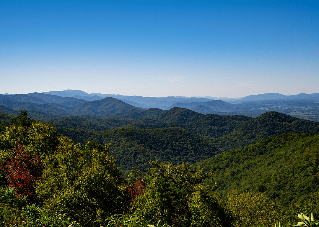 Virginia