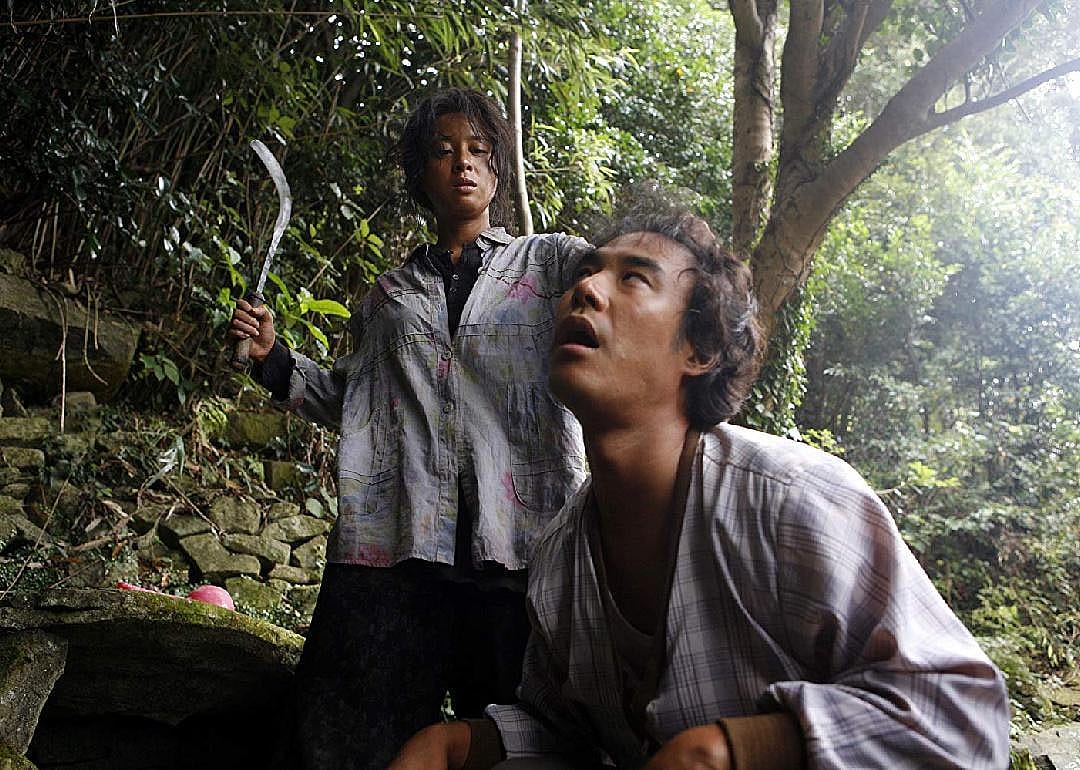 #41. Bedevilled (2010)