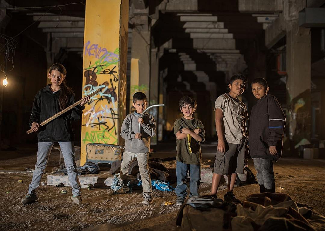 #17. Tigers Are Not Afraid (2017)