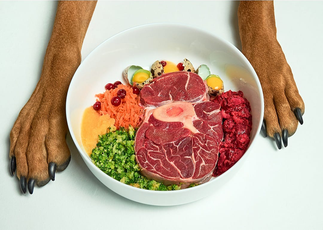 Dog paws on either side of a bowl of raw meat and cooked veggies.