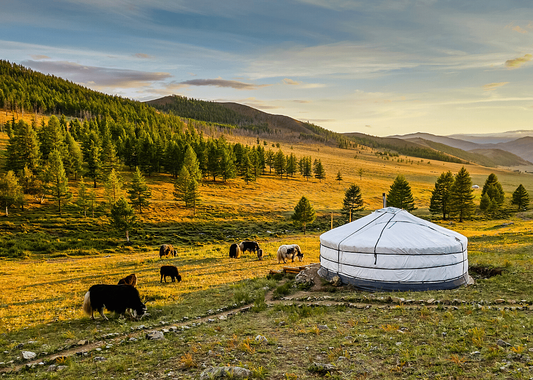 #63. Mongolia