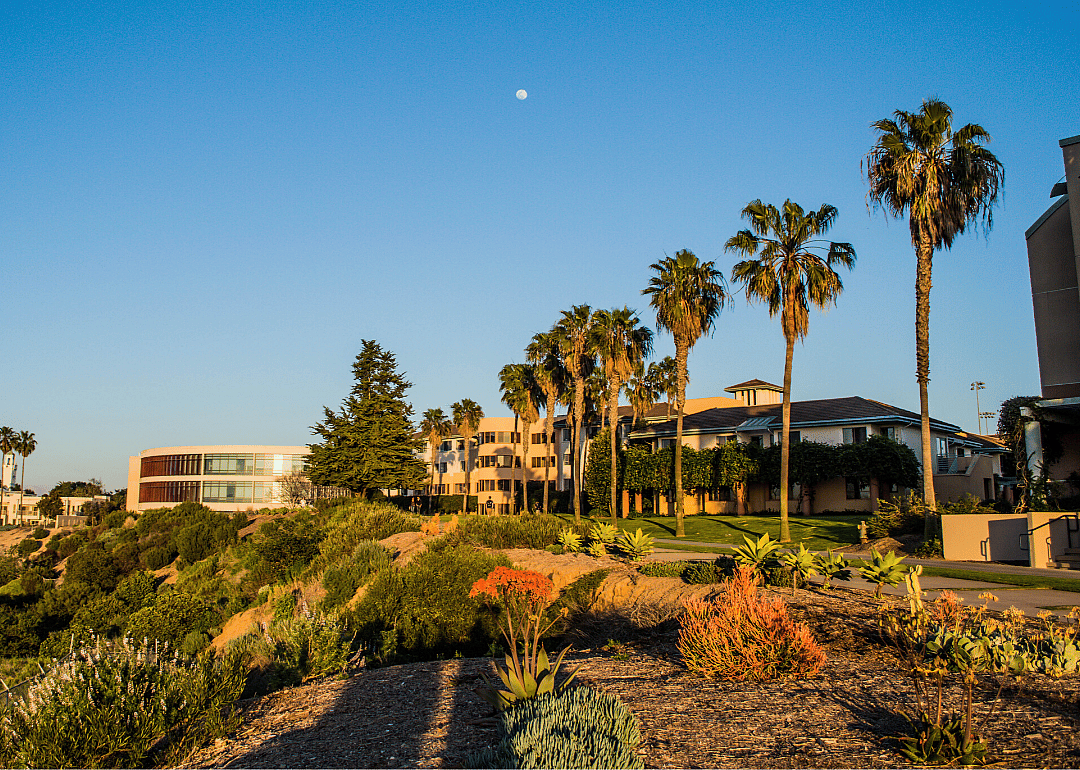 #92. Loyola Marymount University