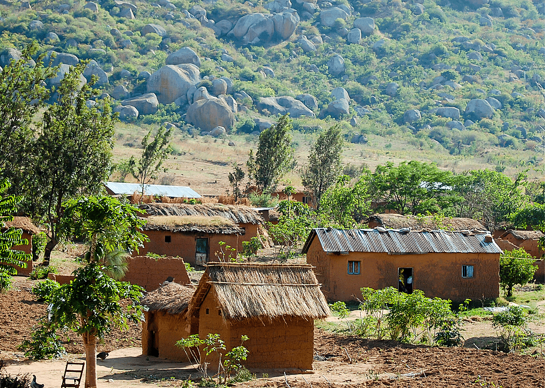 #24. Tanzania