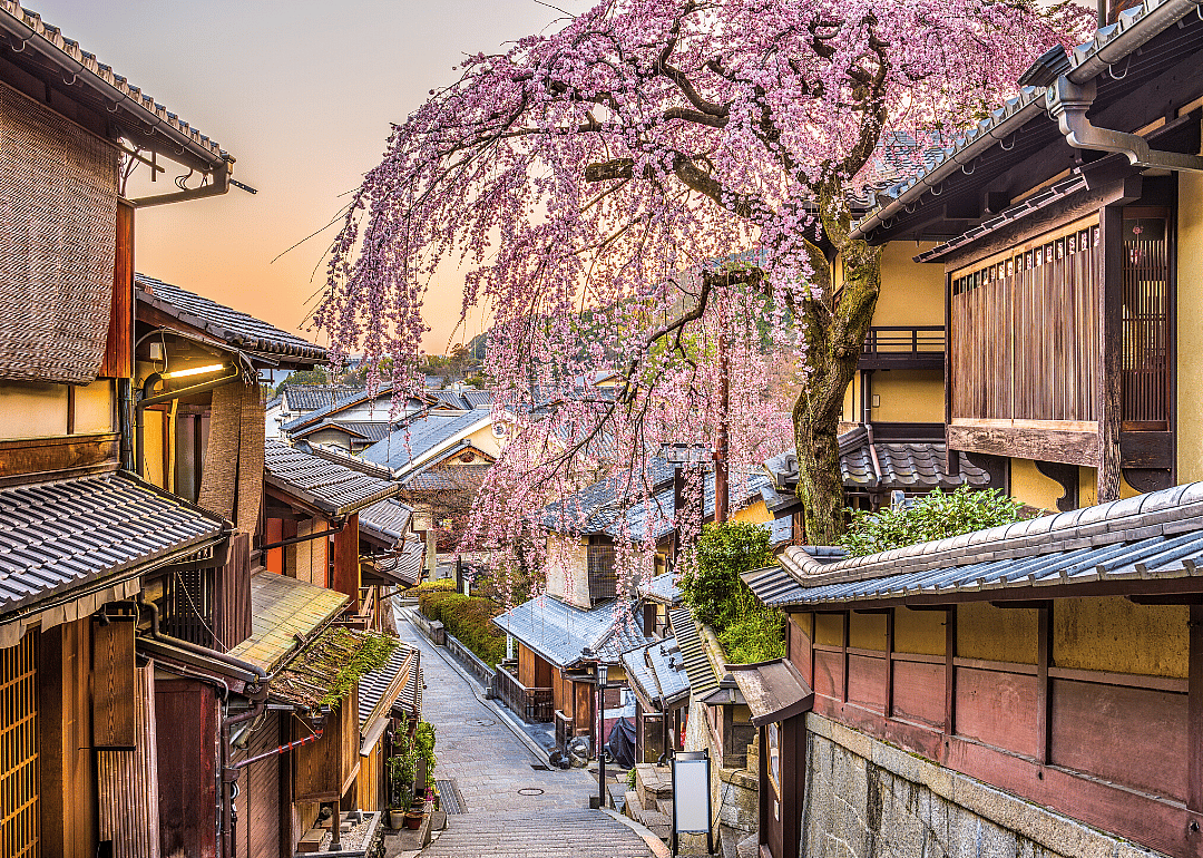 #11. Japan