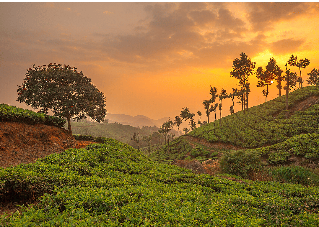 #2. India