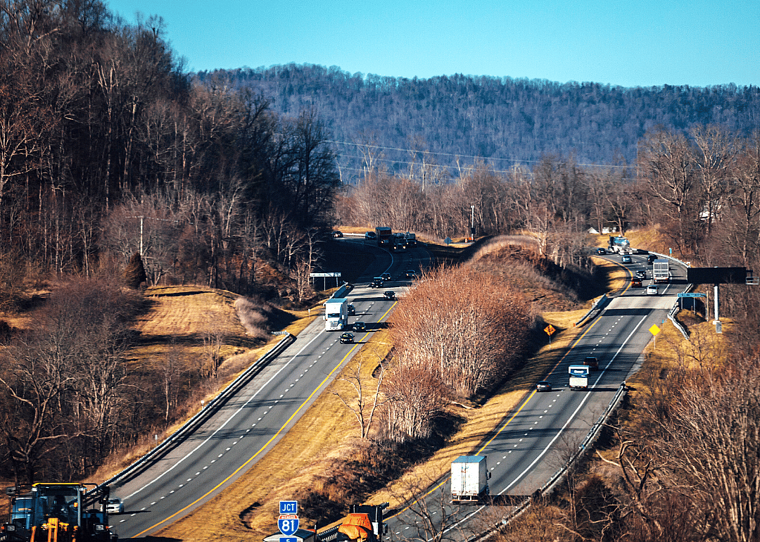 #30. Virginia