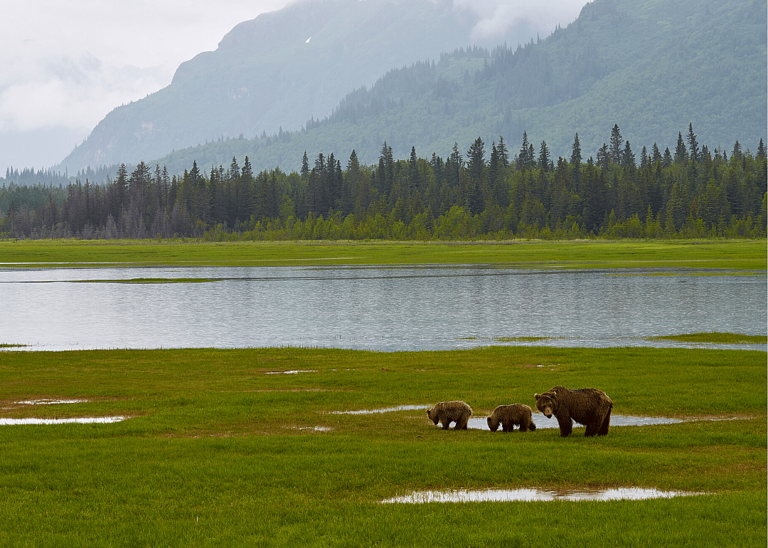#14. Dillingham Census Area