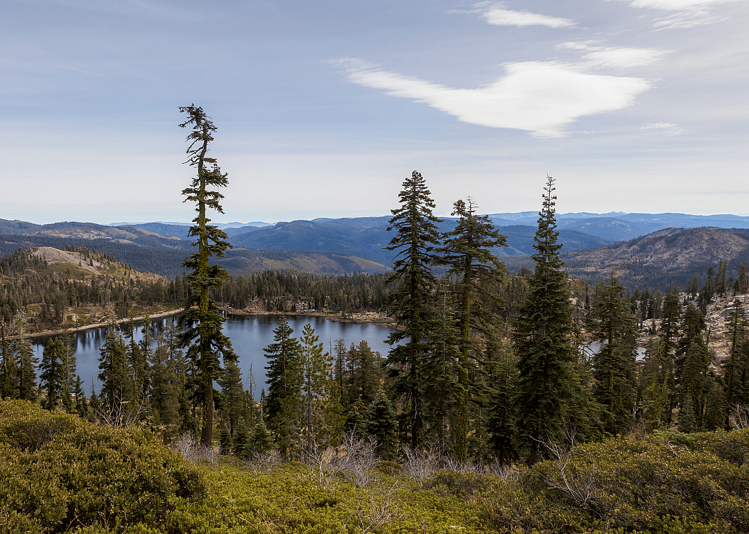 #53. Sierra County
