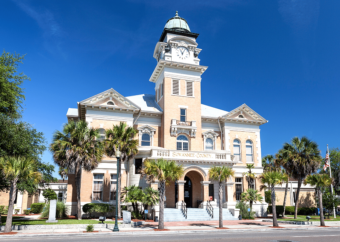 #49. Suwannee County