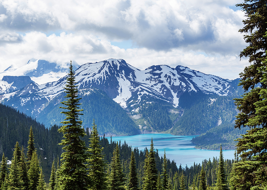#38. Canada