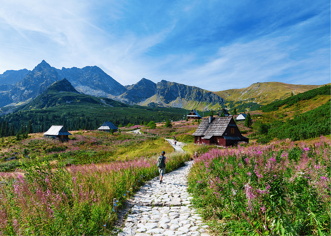 #37. Poland