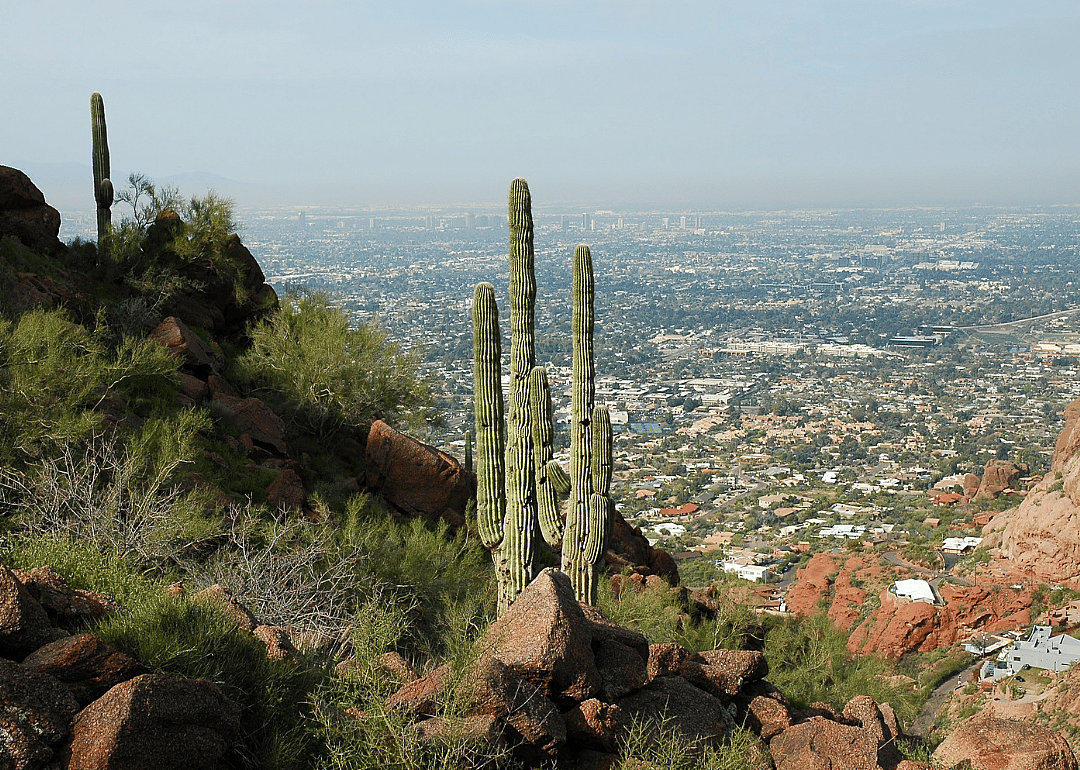 #33. Arizona