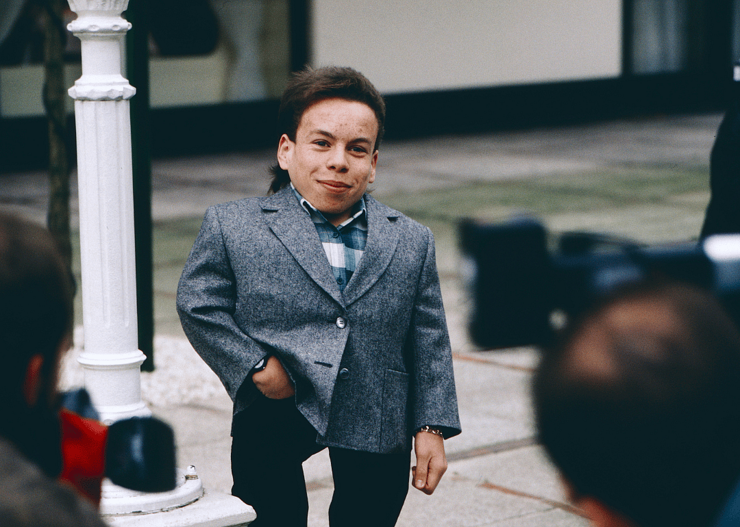 Warwick Davis.