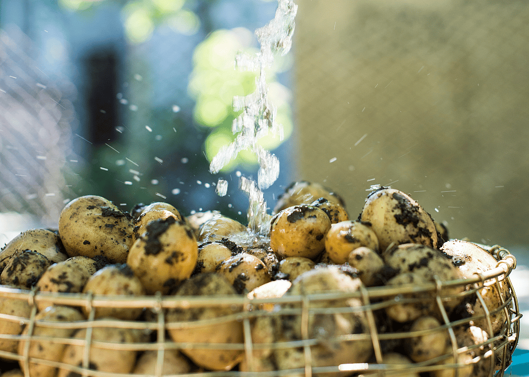 A pound of potatoes