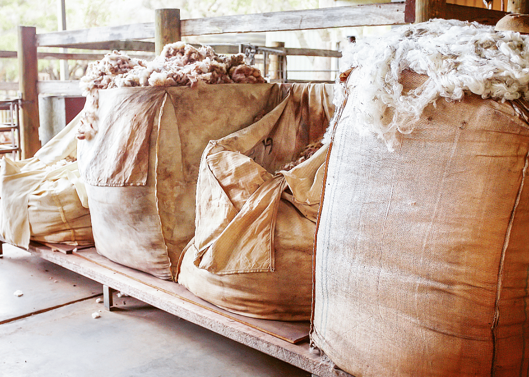 A pound of wool