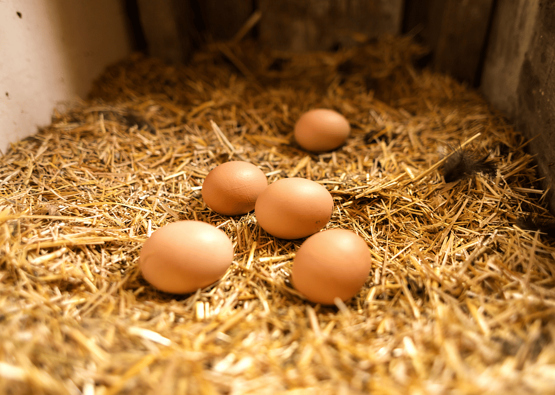 One egg