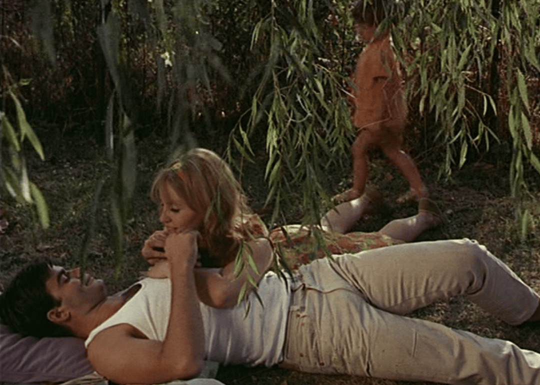 #28. Le Bonheur (1965)